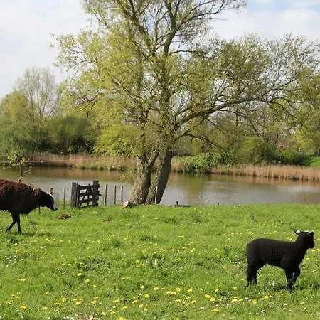 Romantic In Schagen With Garden *